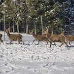 Berghof Haselsberger Konukevi