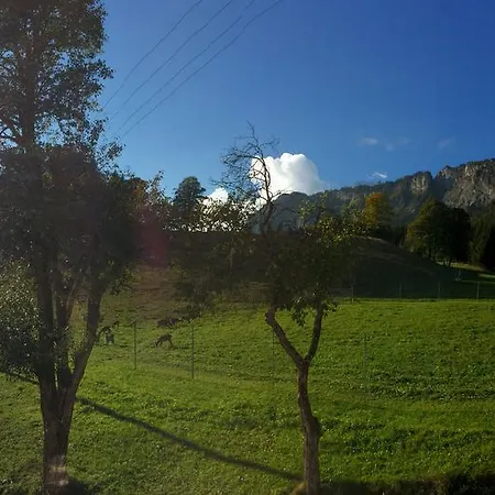 Berghof Haselsberger Sankt Johann in Tirol