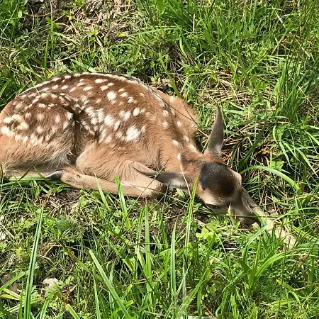 Berghof Haselsberger