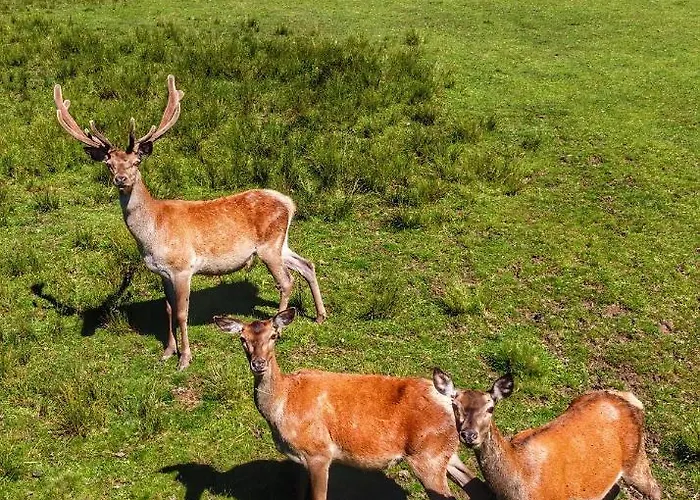 Berghof Haselsberger St. Johann in Tirol