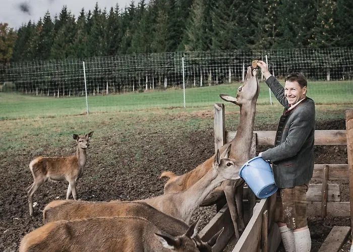 Gæstehus Berghof Haselsberger 3*
