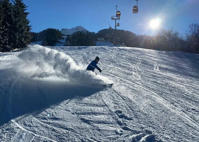 Gæstehus Berghof Haselsberger