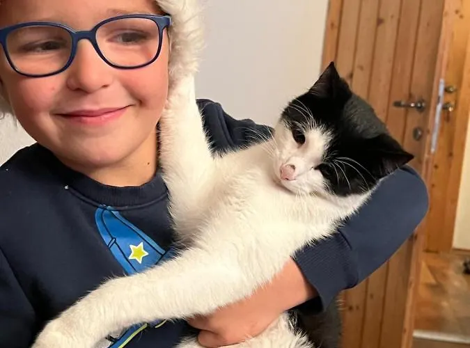 Gæstehus Berghof Haselsberger 3*