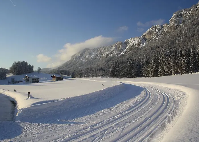 Berghof Haselsberger 3* St. Johann in Tirol