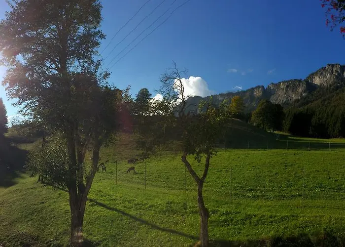 Berghof Haselsberger St. Johann in Tirol
