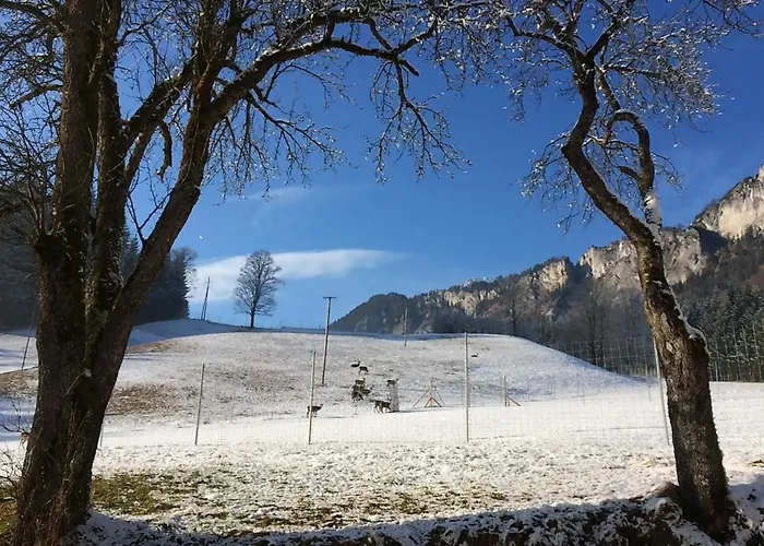 Berghof Haselsberger Gæstehus 3*