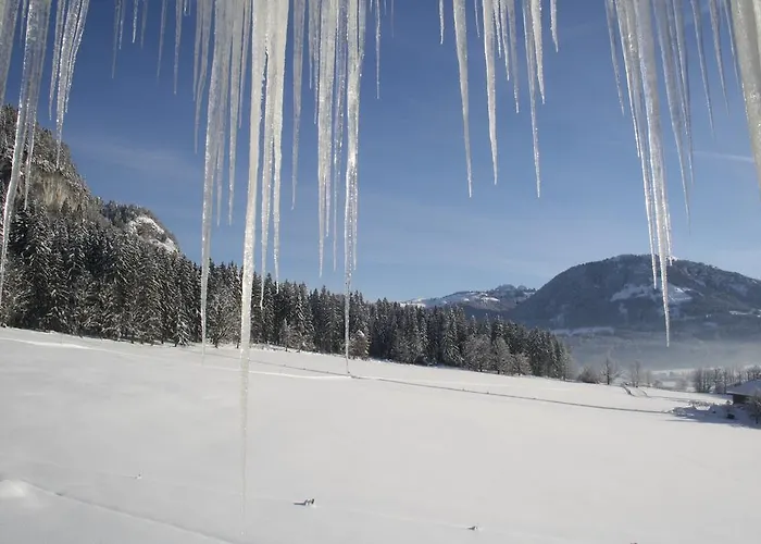 Berghof Haselsberger Gæstehus 3*