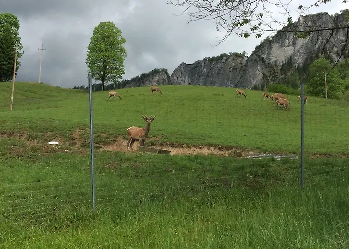Berghof Haselsberger