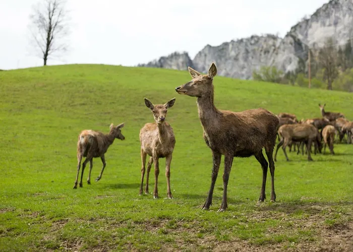 Berghof Haselsberger
