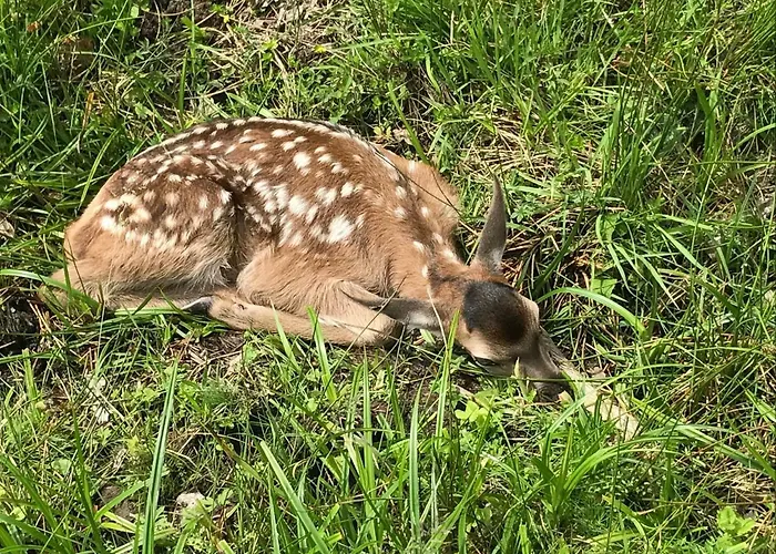 Berghof Haselsberger