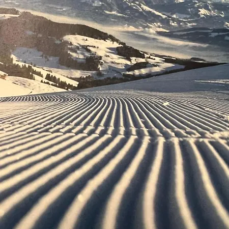 Berghof Haselsberger *
