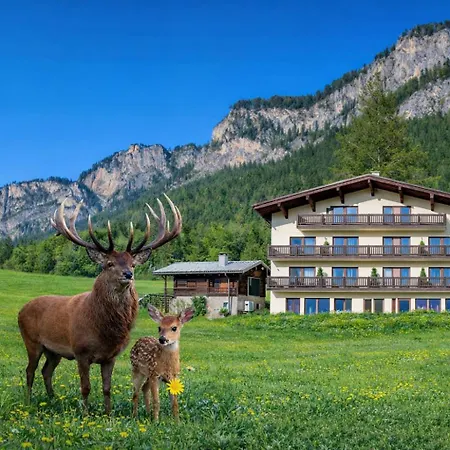 Berghof Haselsberger 3*