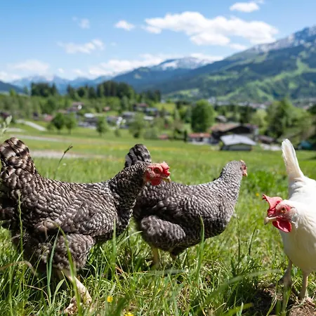Berghof Haselsberger Sankt Johann in Tirol