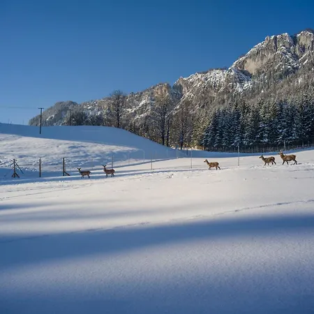 Berghof Haselsberger Gasthof St. Johann in Tirol