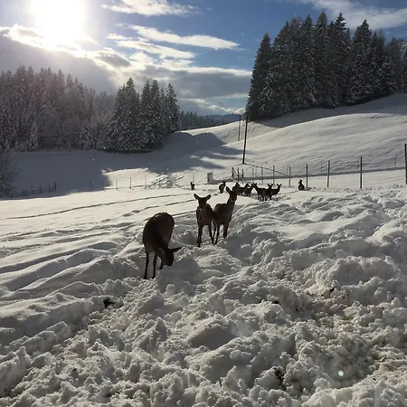 Berghof Haselsberger *