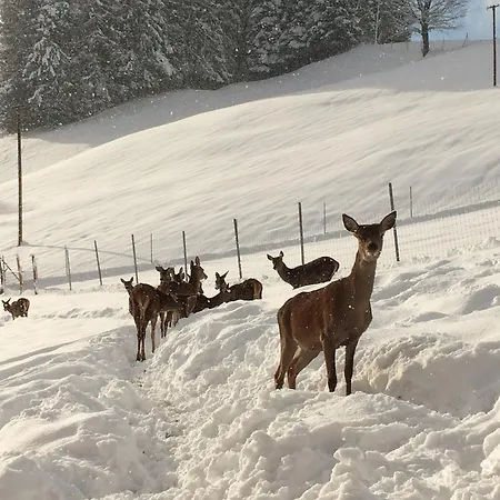 Berghof Haselsberger