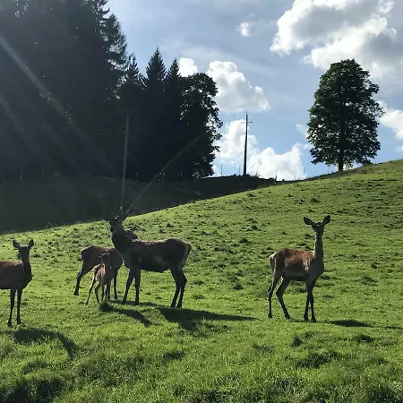 Gasthof Berghof Haselsberger *