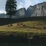 Гостевой дом Berghof Haselsberger Санкт-Йоганн
