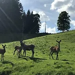 Гостевой дом Berghof Haselsberger 3*