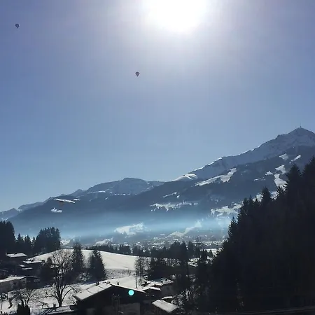 Berghof Haselsberger ゲストハウス