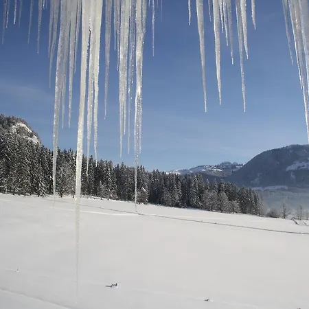 Berghof Haselsberger Penzion *